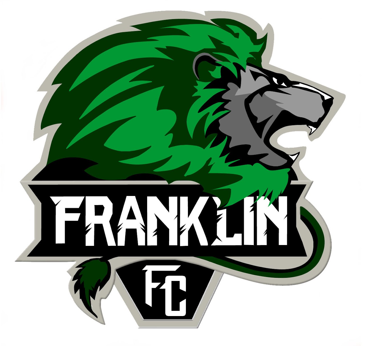 frankling_county_schools_ga